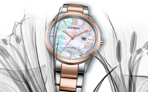 德州西鐵城手表售后維修服務中心