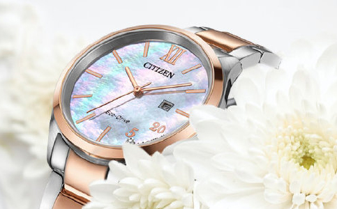 新鄉西鐵城手表售后維修服務中心